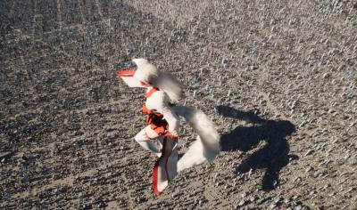  《女巨人游乐场》震撼登场：高自由度沙盒破坏体验引爆玩家期待