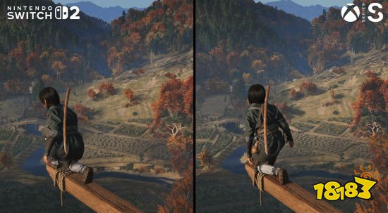 植被/反射取舍示意3