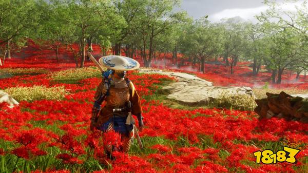 羊蹄山之魂 游戏画面 5