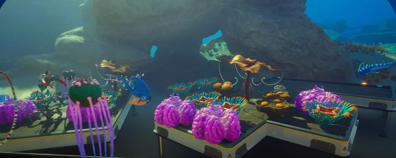 深海迷航2：异星水域前期淡水及食物获得方法 深海迷航2：异星水域前期淡水及