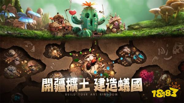 小小蚁国宣传图