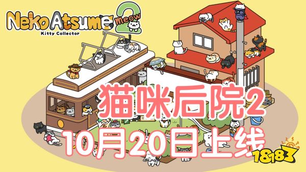 猫咪后院宣传图